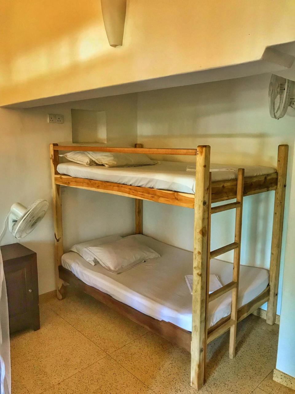 Gecko Restaurant & Rooms Аругам Бей Екстериор снимка